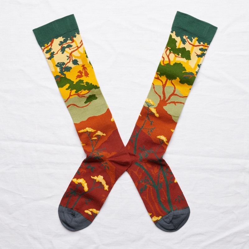 Multico Forest High Knee Socks