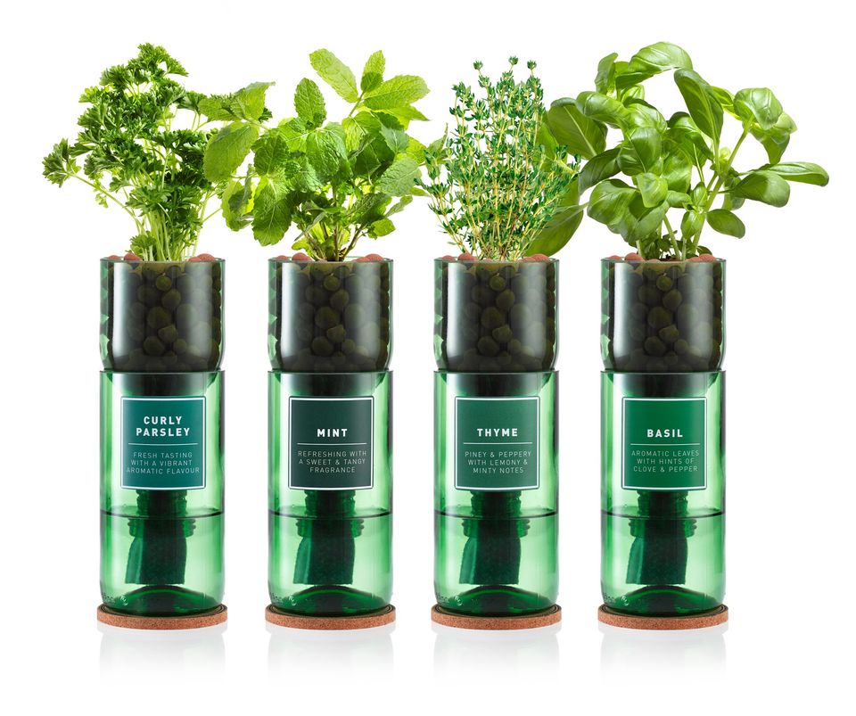 Hydro Herb Hydro Herb Kit 