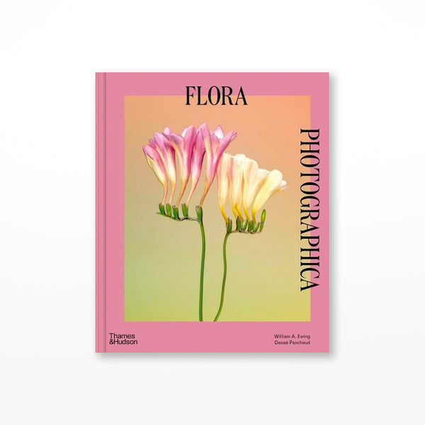 Flora Photographica: The Flower In Contemporary Photography