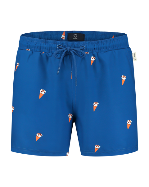 Swimsuit Shorts For Boys - Colin Blue