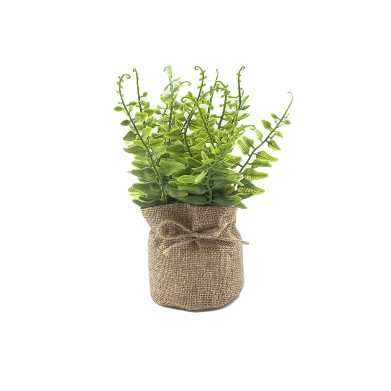 Green Plant in Hessian Bag