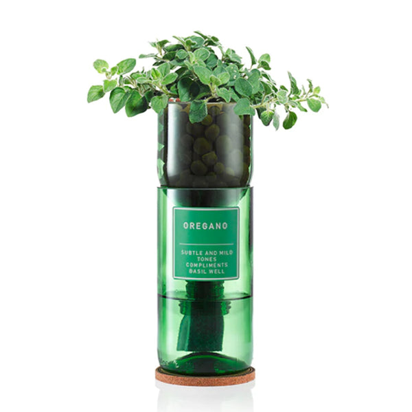 ggww-or-hydro-herb-kit-or-oregano