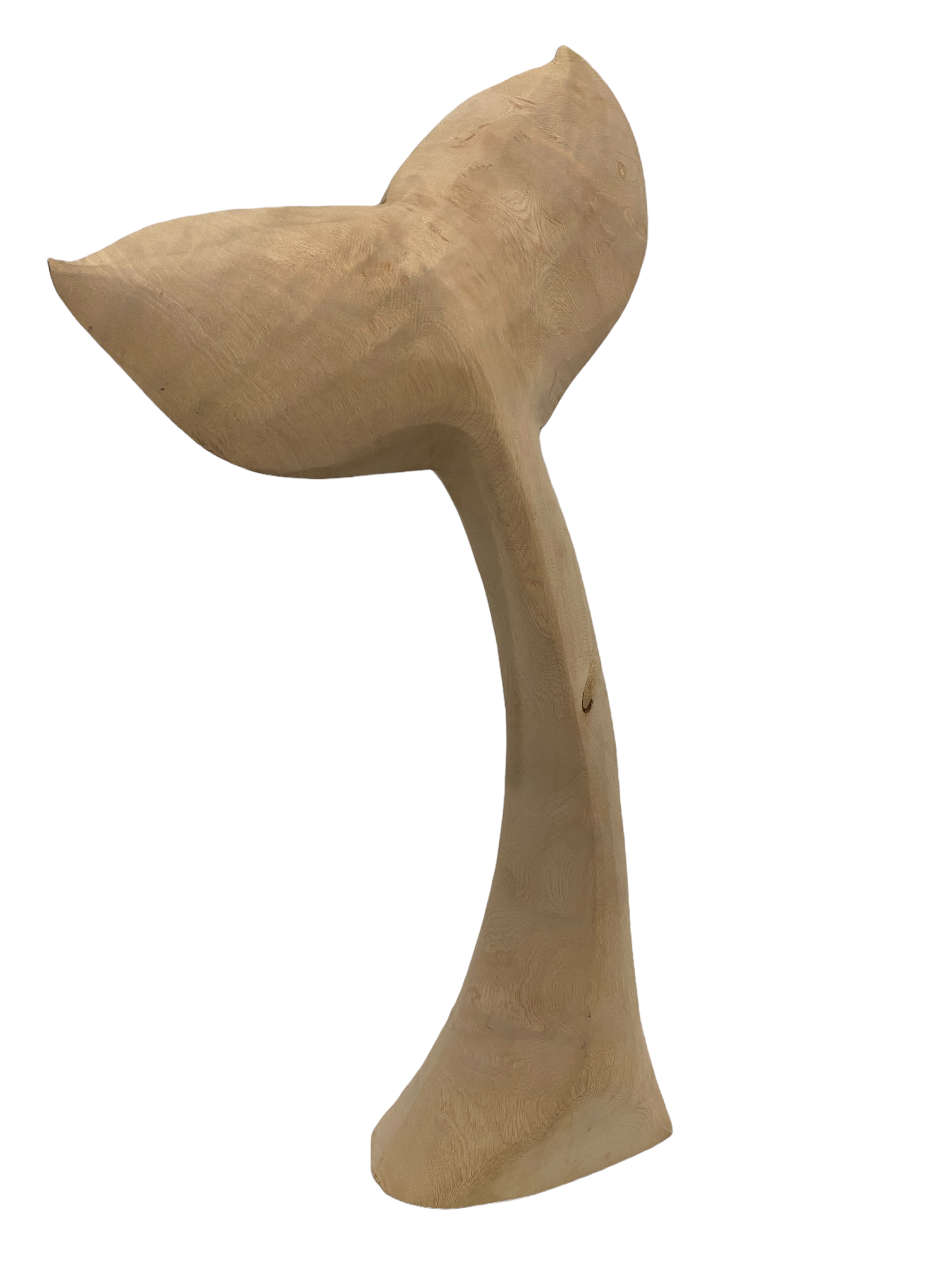 botanicalboysuk Wooden Hand Carved Whale Fin (39l)