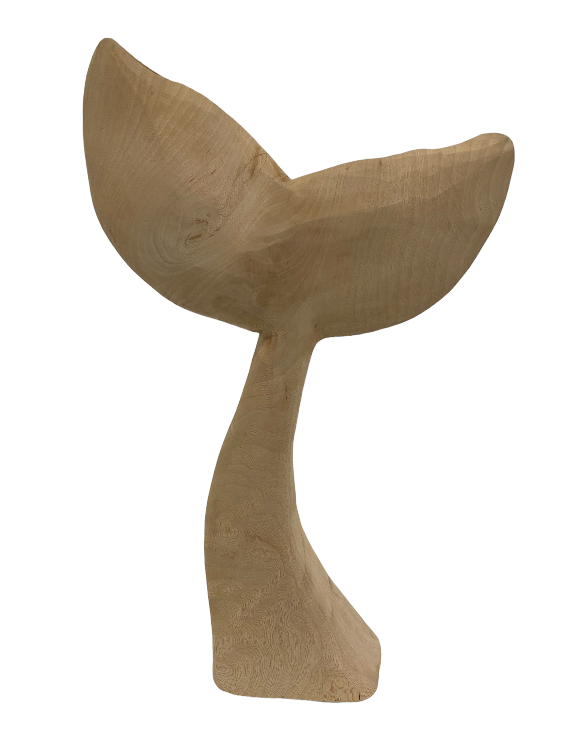 botanicalboysuk Wooden Hand Carved Whale Fin (38m)