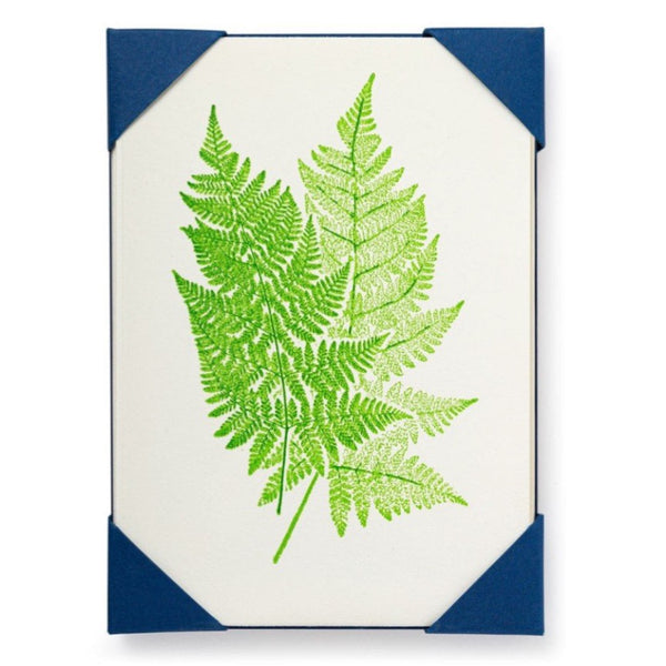Fern Of 5 Notecards By Archivist