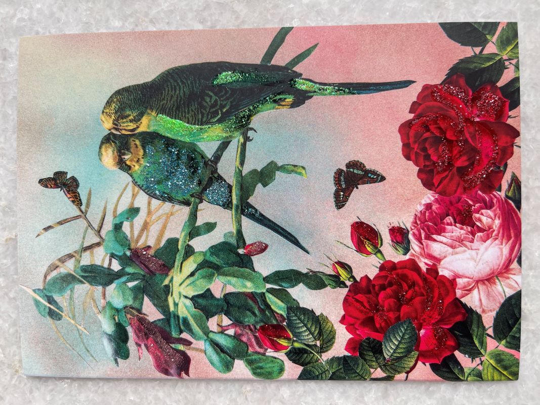 Budgies Card