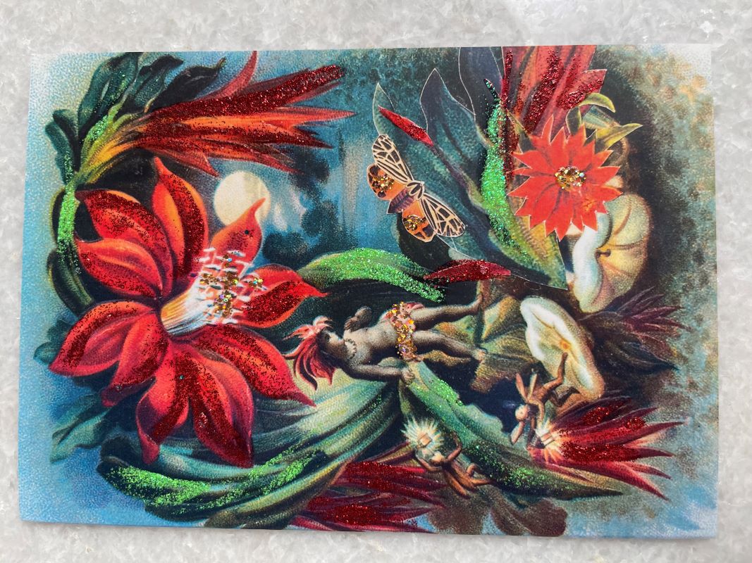 Diana Wilson Arcana Cactus Fairy Glittered Card