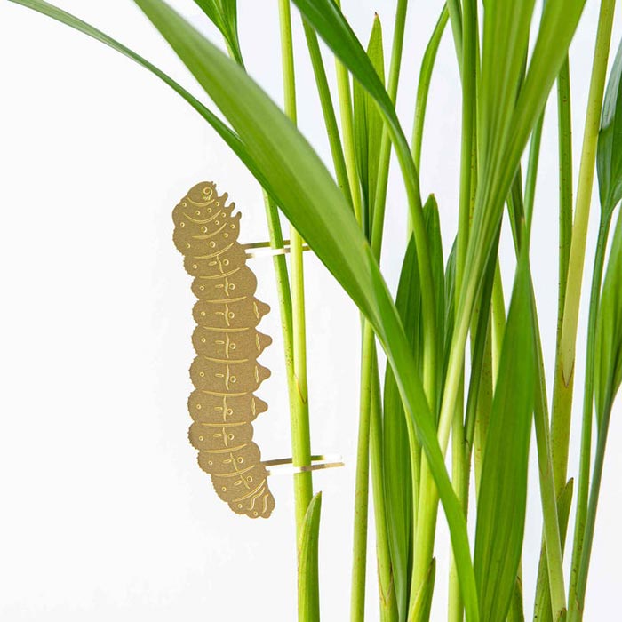 Another Studio  Plant Animal Caterpillar