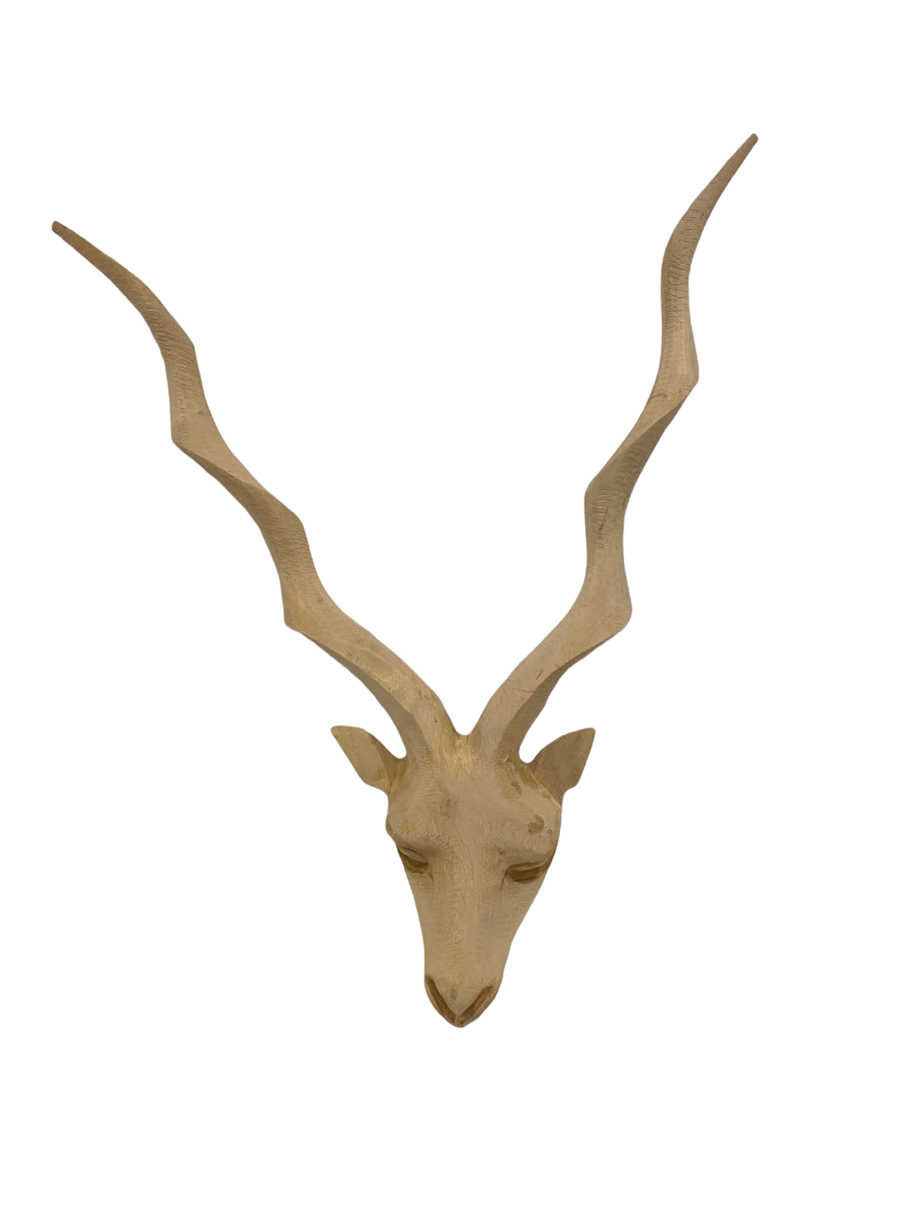 botanicalboysuk Swazi Hand Carved Buck Head Kudu - (45) Large