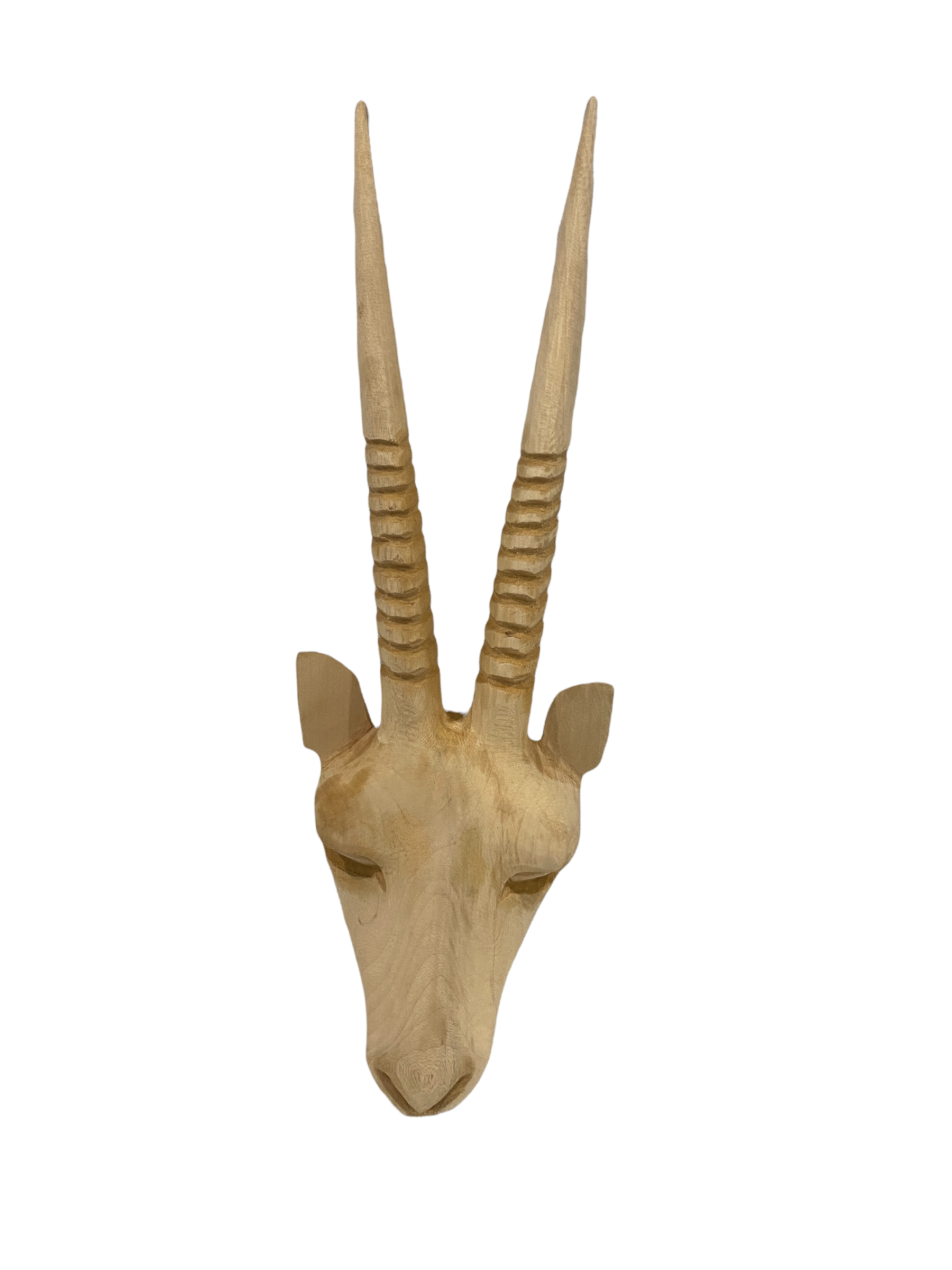 botanicalboysuk Swazi Hand Carved Buck Head Gemsbok - (42) Small