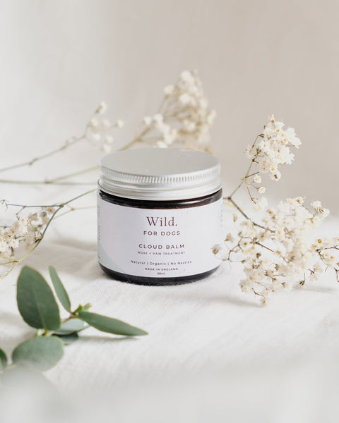 WILD FOR DOGS 60ml Organic Cloud Nose and Paw Balm