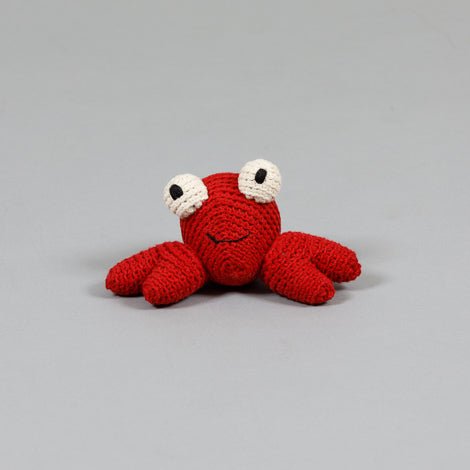 Ware of the Dog Crab Dog Toy