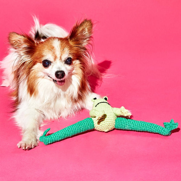 Frog Dog Toy