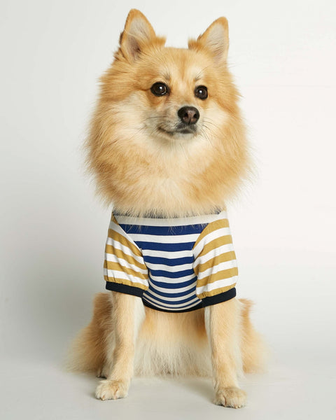 The Painter's Wife David Organic Cotton Dog T-shirt In Blue & Yellow