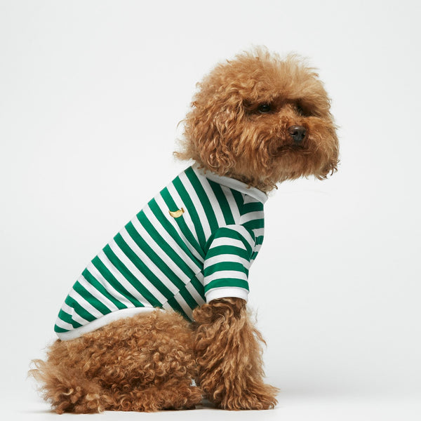 David Organic Cotton Dog T-shirt In Green