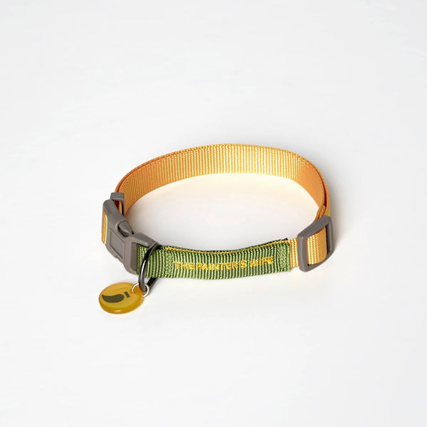The Painter's Wife Small Mimosa and Moss Sonia Dog Collar 