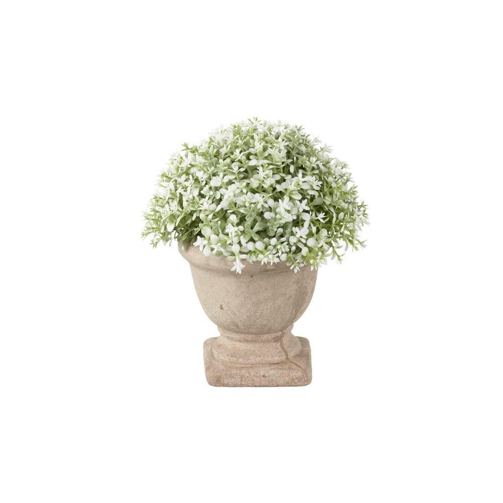 scottie-and-russell-small-dianthus-potted-plant