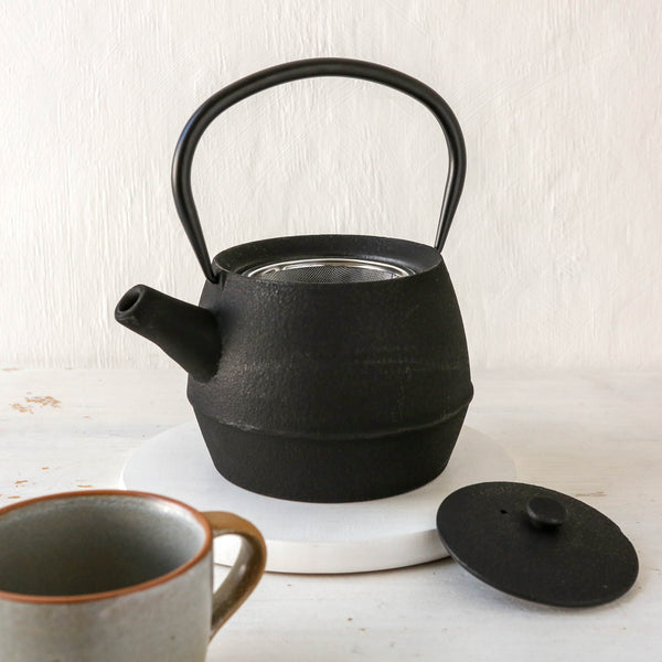 nicolas-vahe-black-cast-teapot-3