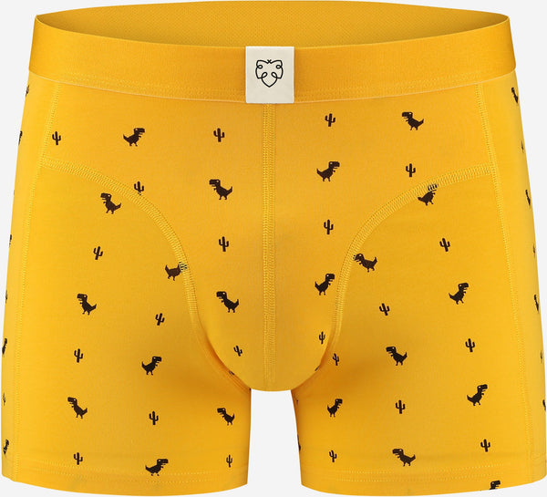 Dino Yellow Boxer Briefs