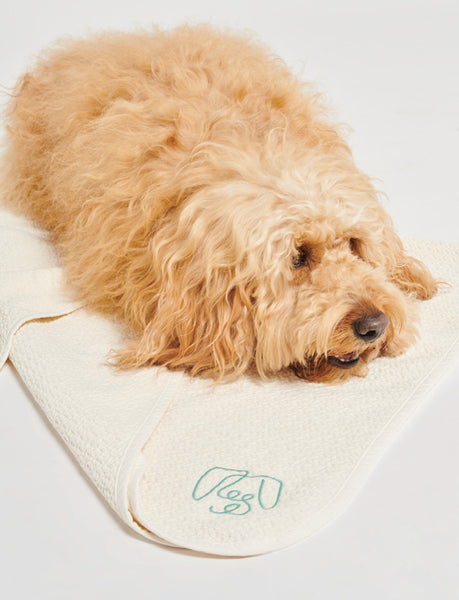 Organic Cotton White Dog Blanket