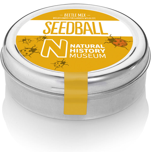 seedball - Beetle Mix Tin