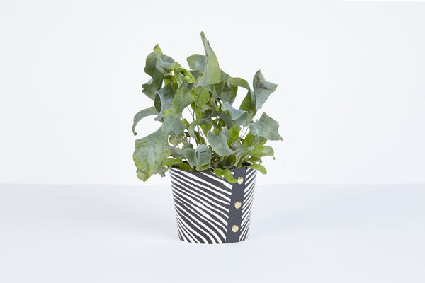 Plant Pot Cover - Wood Medium