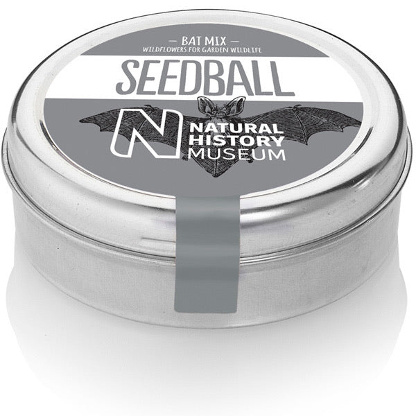 seedball - Bat Mix