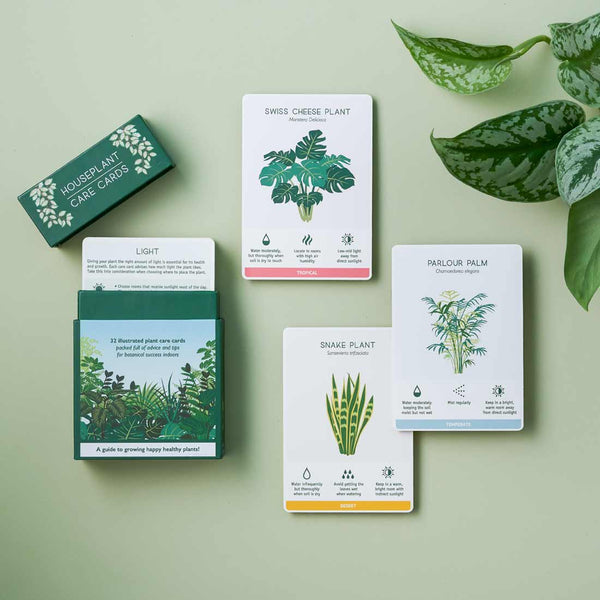 Another Studio  Houseplant Care Cards