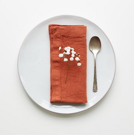 Linen Tales Linen Napkins Set of 2. Baked clay