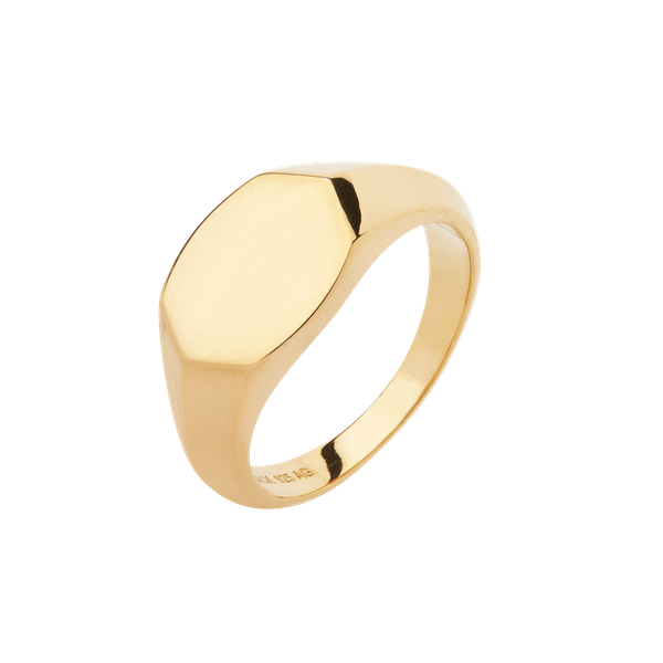 | Gordan Signet Ring | 22k Gold