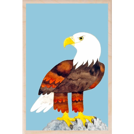 The Wooden Postcard Company Bald Eagle Wooden Postcard