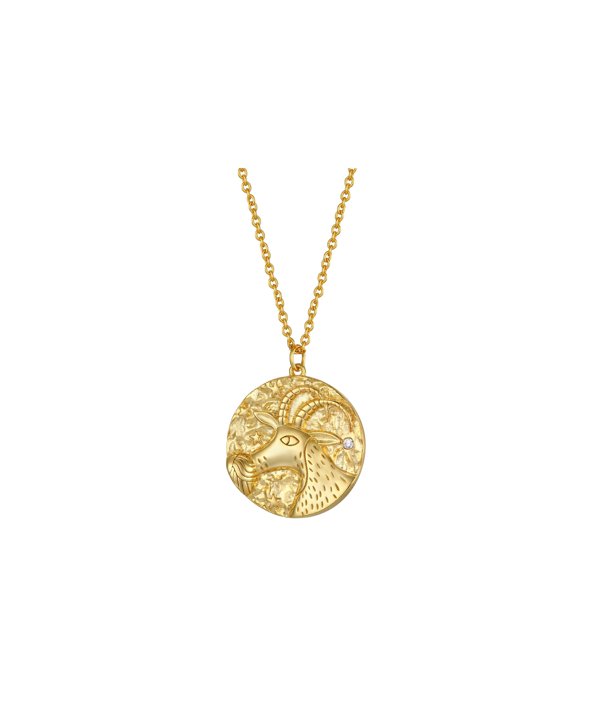 by bottega Capricorn Zodiac Double Sided Coin Pendant Necklace
