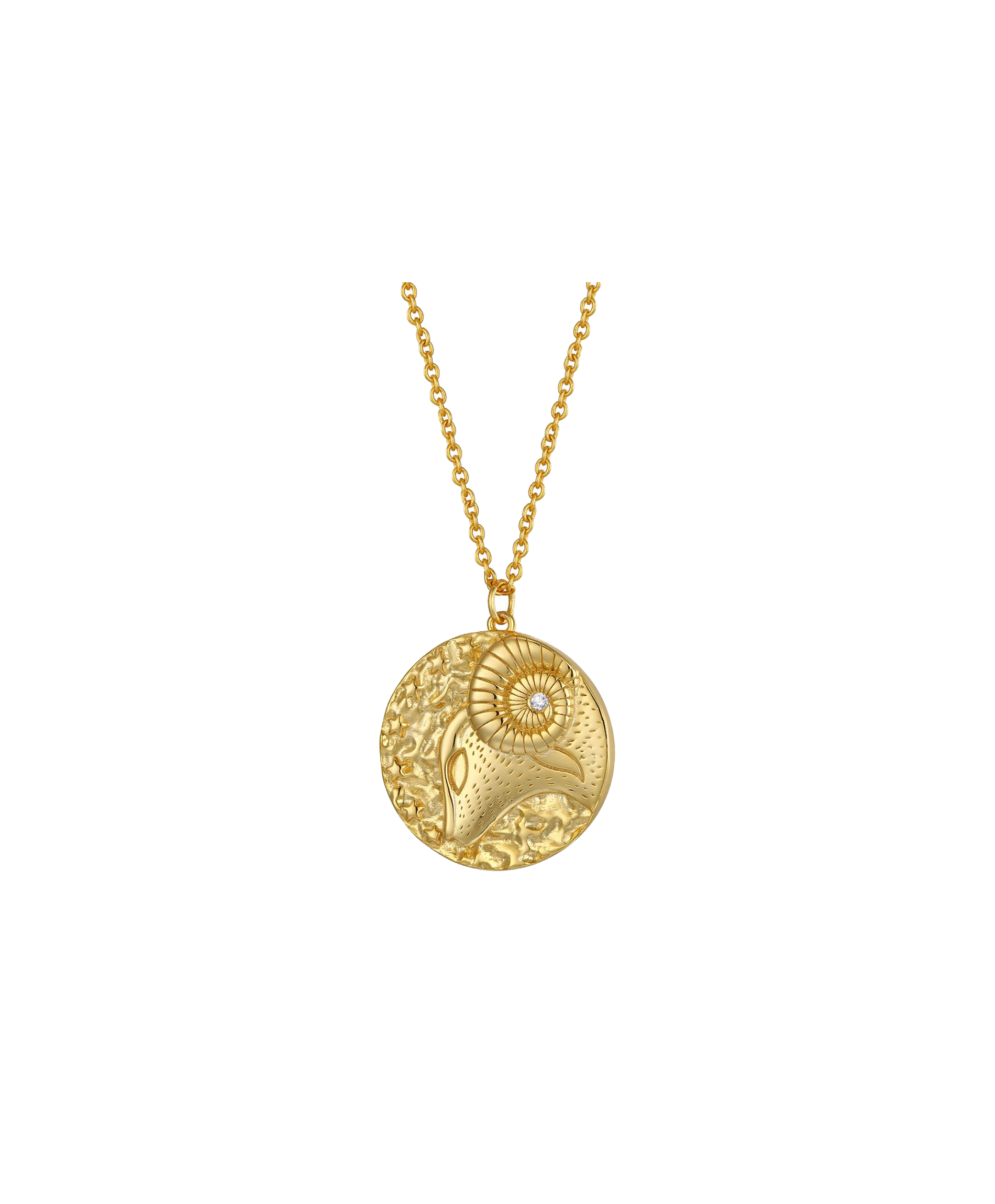 by bottega Aries Zodiac Double Sided Coin Pendant Necklace