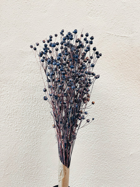 Linum Purple Dried Flowers