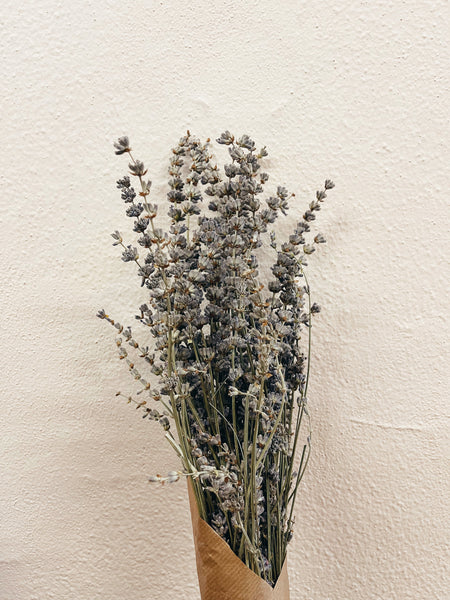 Dried Flowers Lavender Dried Flowers