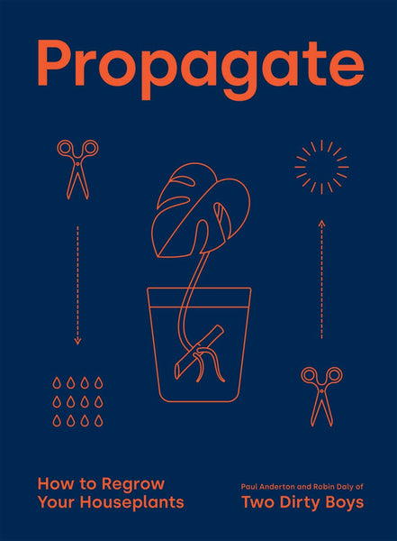 Propagate: How To Regrow Your Houseplants