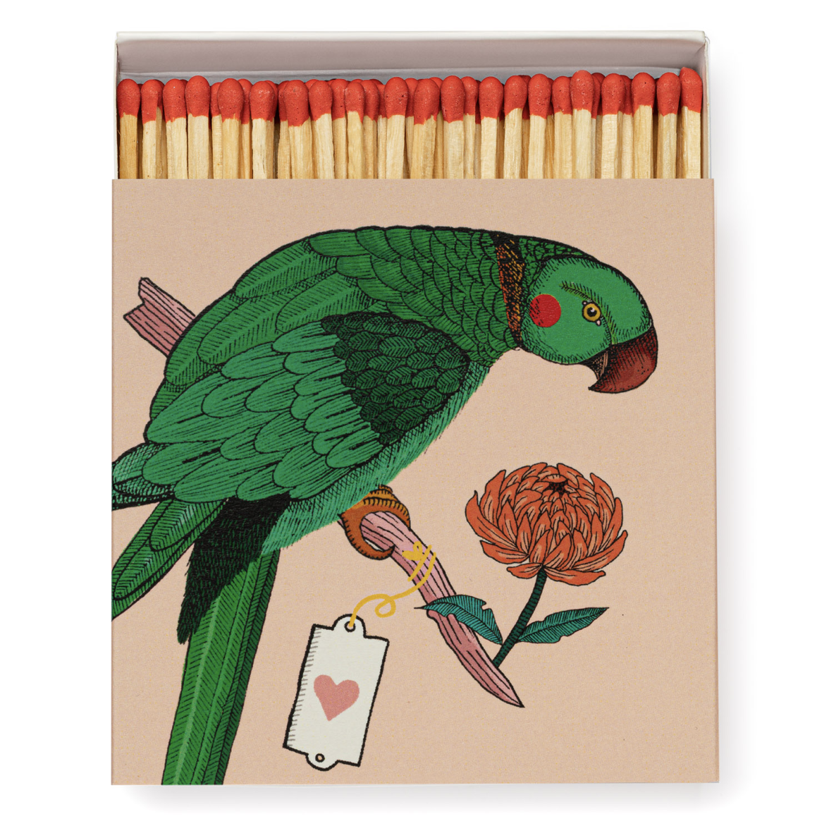 Archivist Luxury Matches - Ariane's Parrot 
