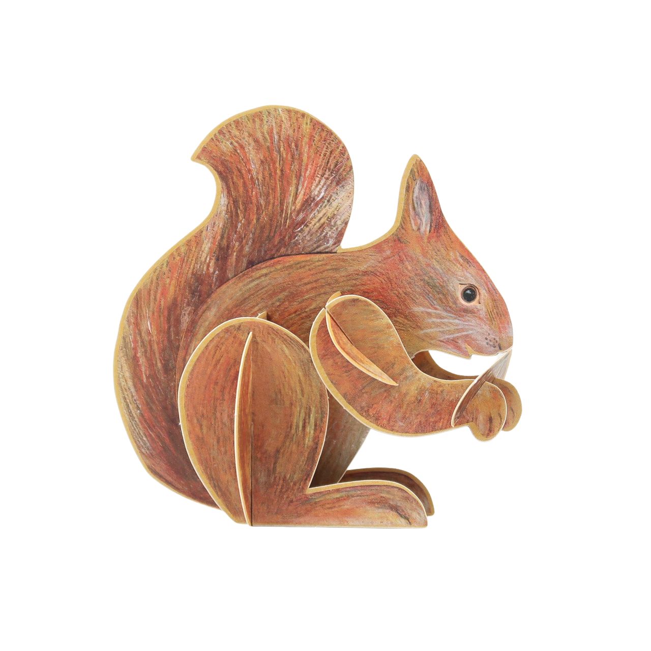 Set of 3 Pop-Out Card by Alice Melvin – Squirrel