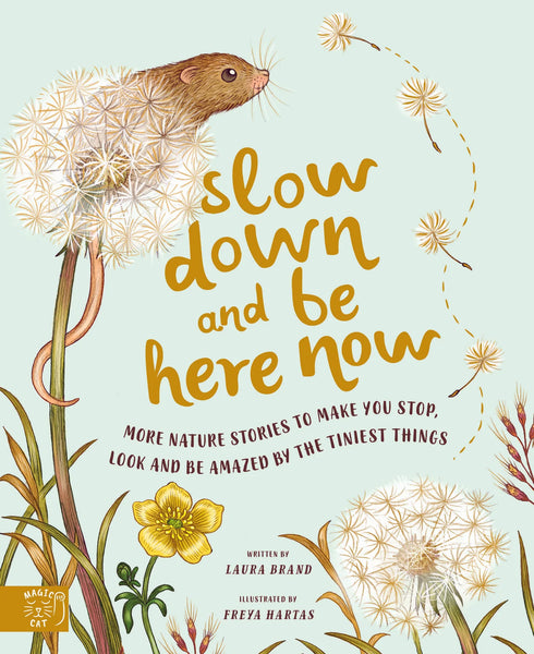 MAGIC CAT PUBLISHING Slow Down And Be Here Now Book
