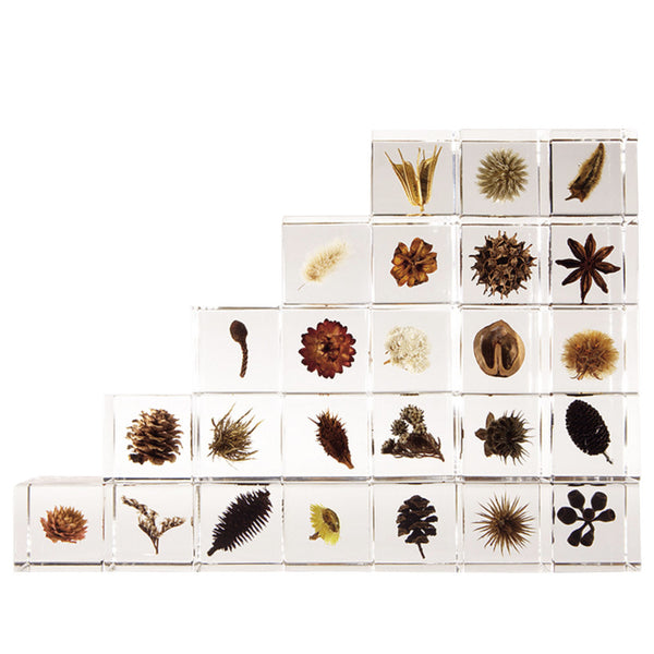 Japan-Best.net Botanical Sola Acrylic Cubes