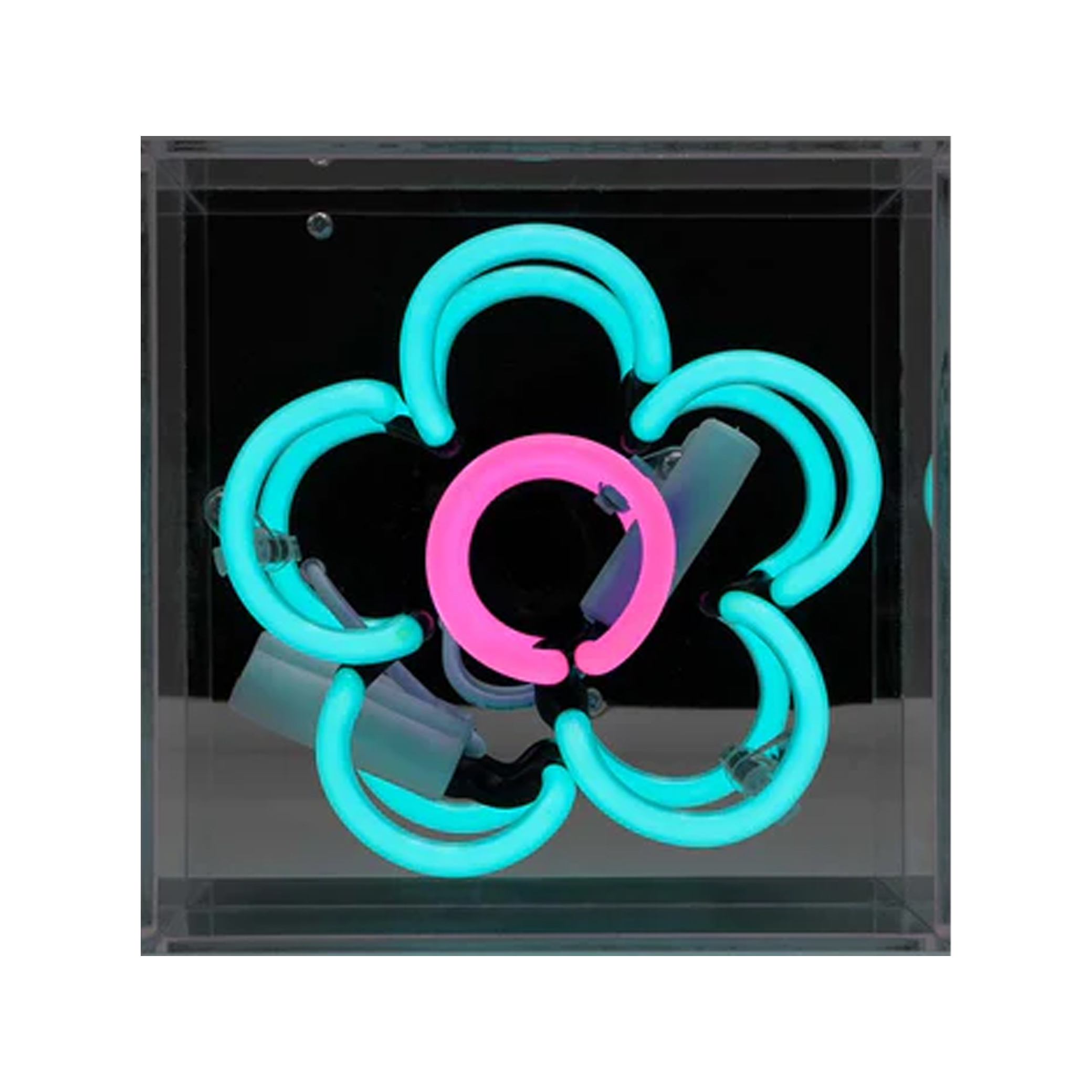 Blue Daisy Mini Neon Acrylic Box