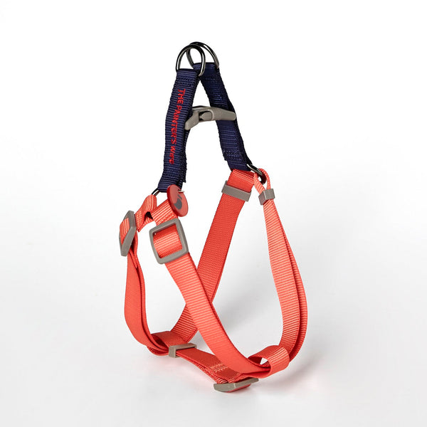 The Painter's Wife Large Navy and Vermillion Sonia Dog Harness