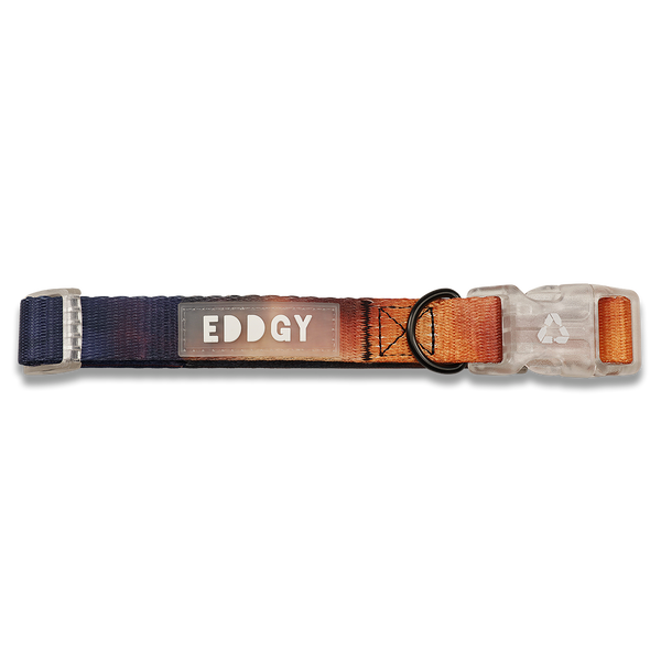Eddgy Medium 100 Percent Recycled Bruce Dog Collar