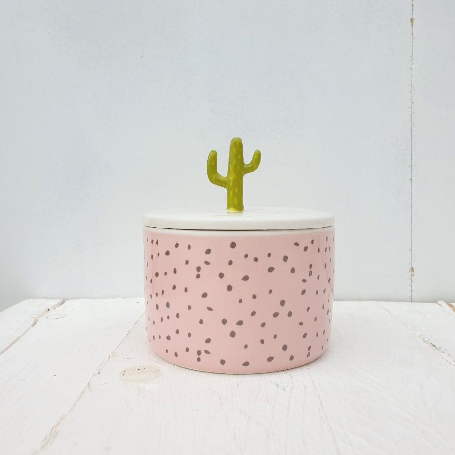 Urban Garden Cactus Jar