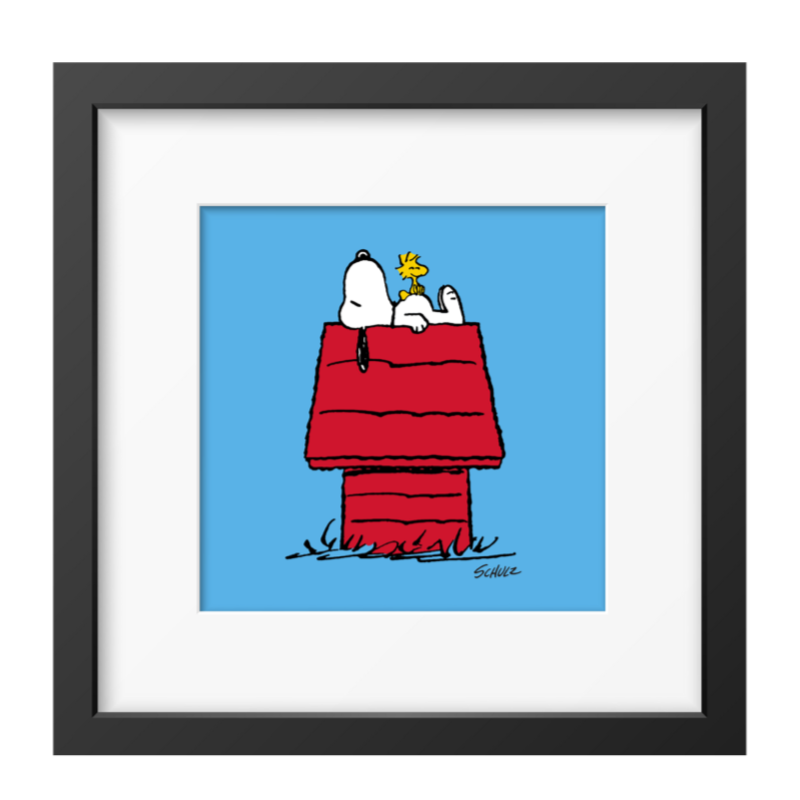 House Snoopy Framed Print