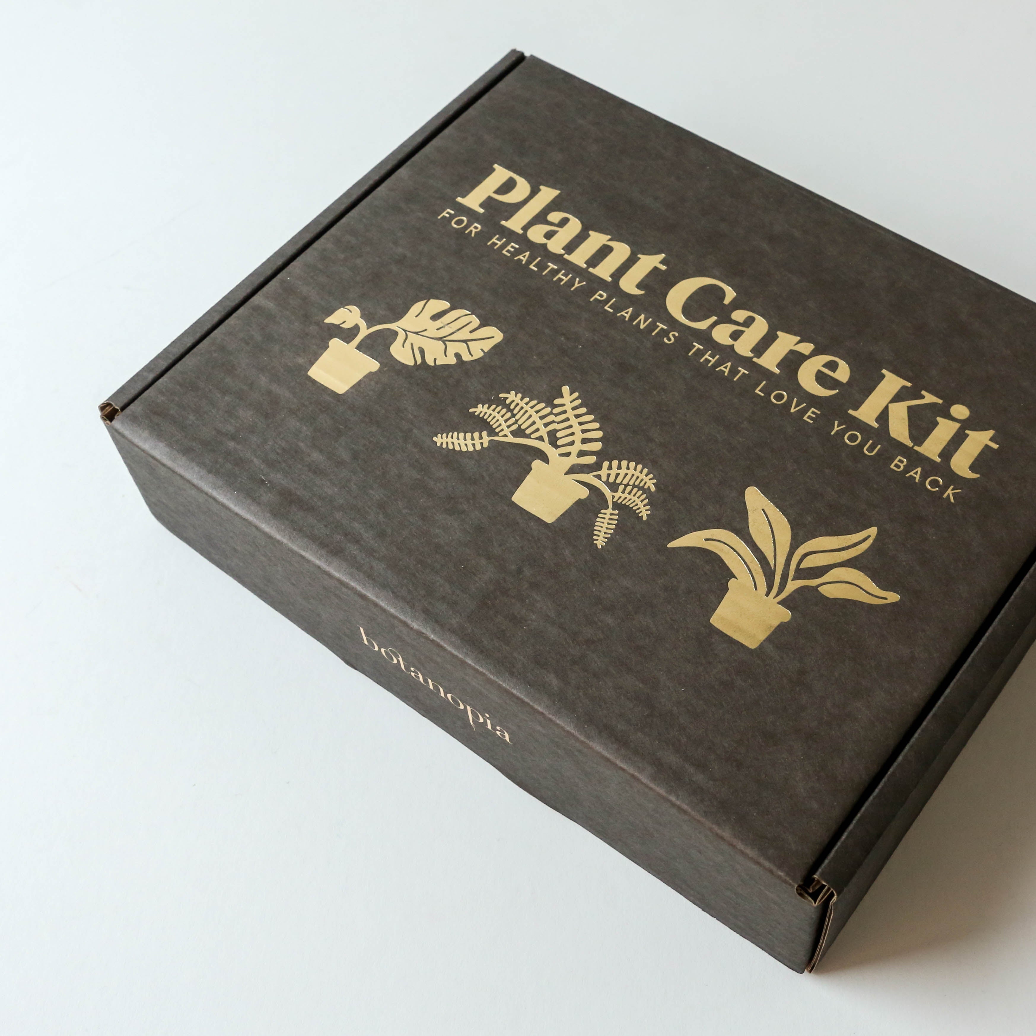 Trouva: Cyanotype Kit DIY Kit To Create Your Own Gorgeous Prints