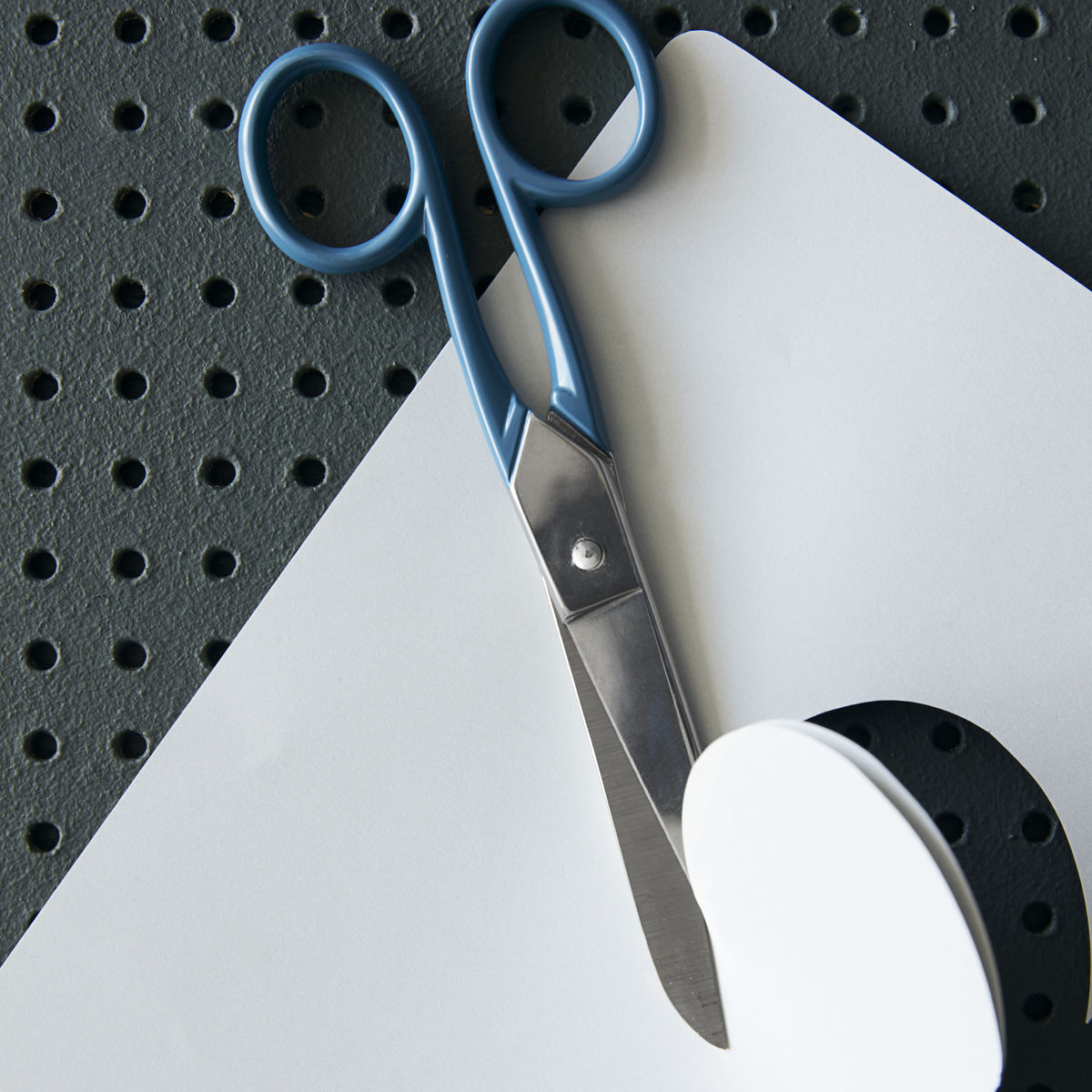 Stainless Steel Scissors