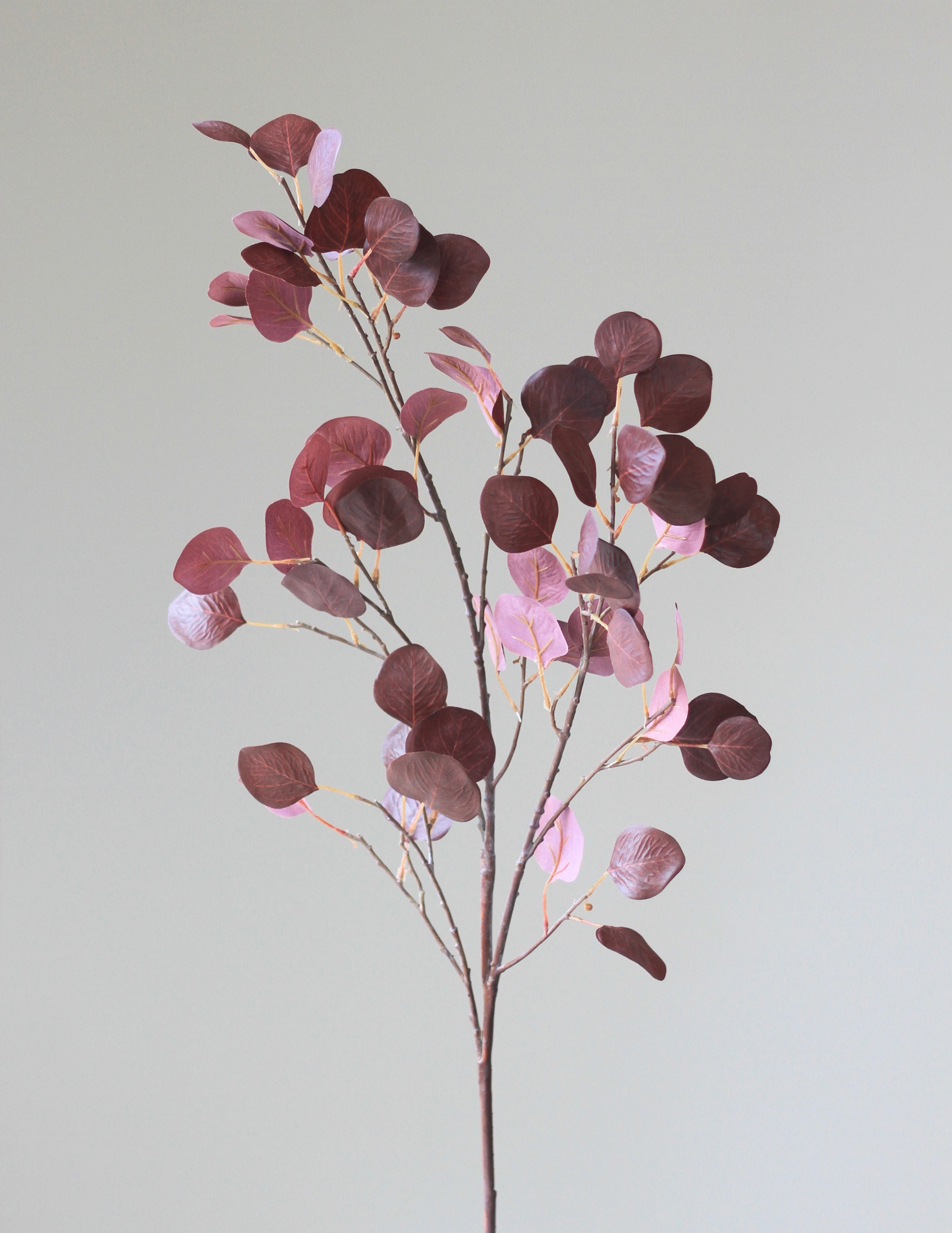 or-and-wonder-collection-burgundy-red-leaf-branch