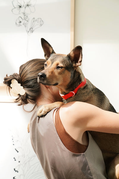 Cherry Red Dog Collar