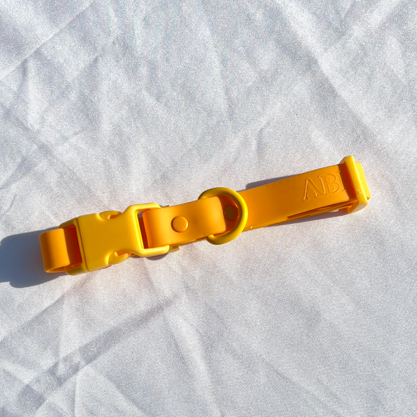 Orange Mango Dog Collar